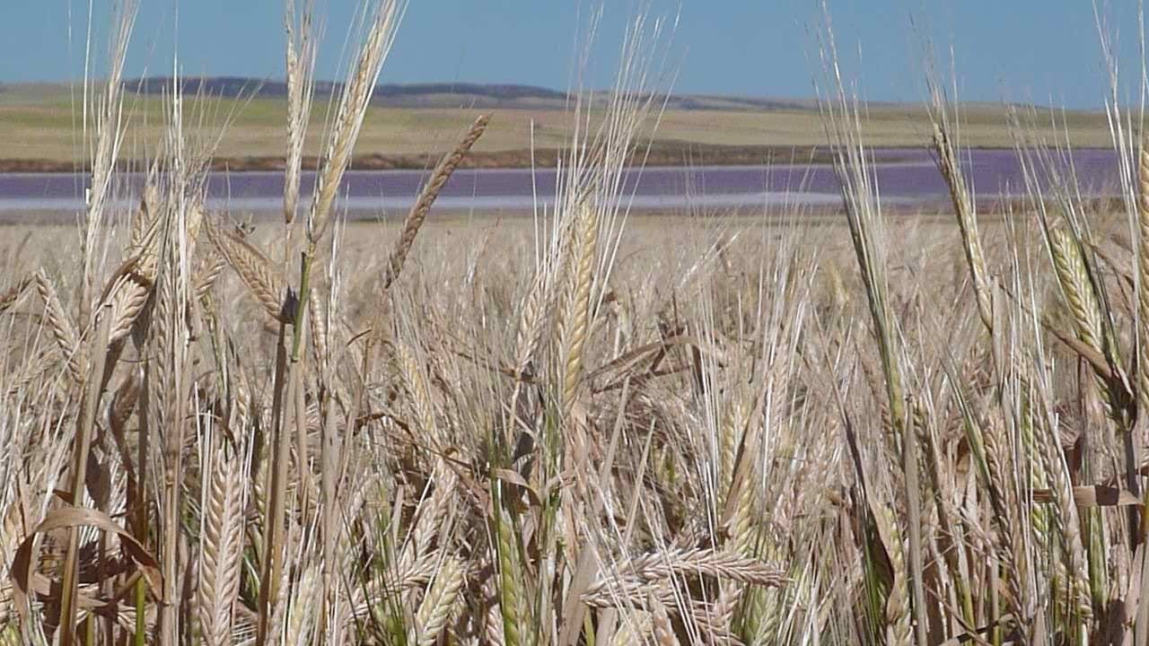 How Does This Season's Rainfall Compare? Deciles for Your Farm Since 1900