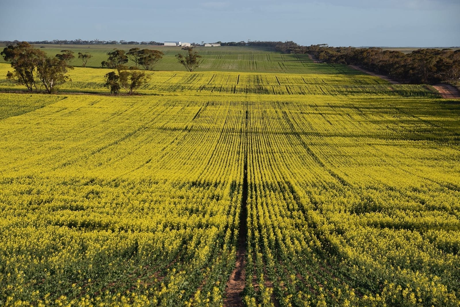 Farm Management Software That Works on Your Phone