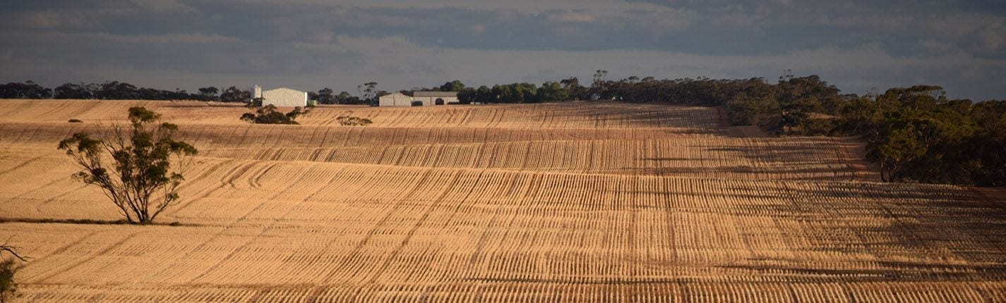 Harvested paddock furrows - P2PAgri product updates