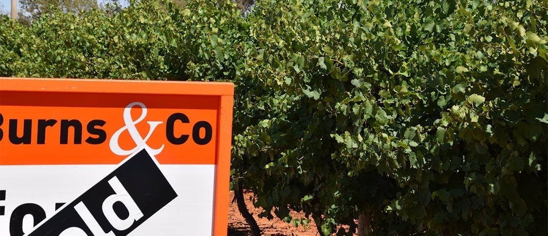 Rural Banking – Beyond the Royal Commission