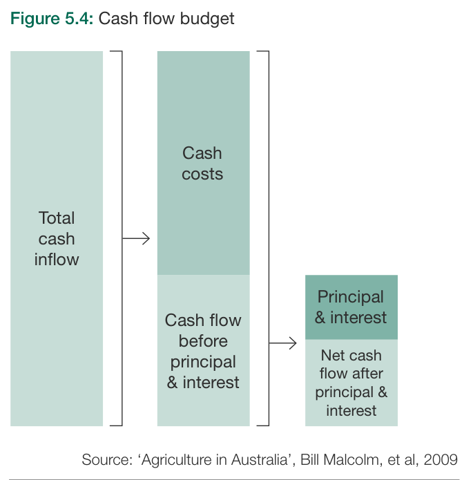 Farming the Business Figure 5.4: a cash flow budget showing total cash inflow balanced against cash costs, then principal and interest, leaving net cash flow