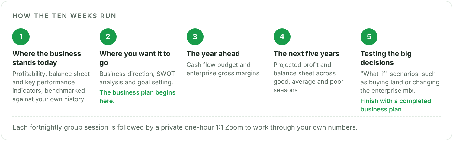 The five steps of the Plan to Profit course: where the business stands today, where you want it to go, the year ahead, the next five years, and testing the big decisions